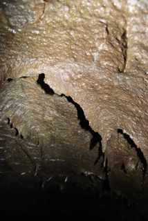 Grotte del Ragno